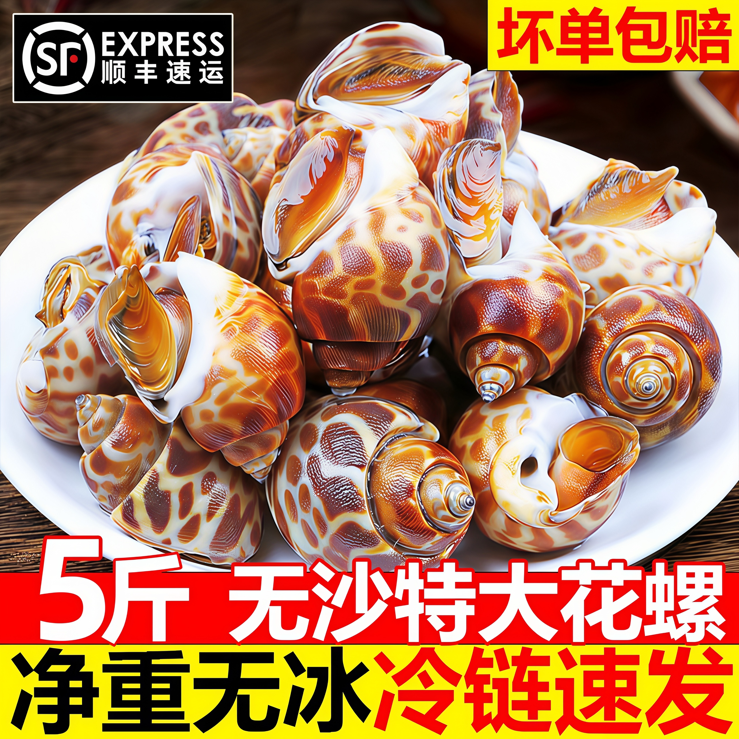 花螺鲜活冷冻特大东风螺海螺贝类