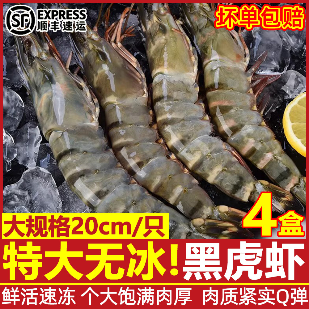 大海十三黑虎虾特大速冻顺丰包邮