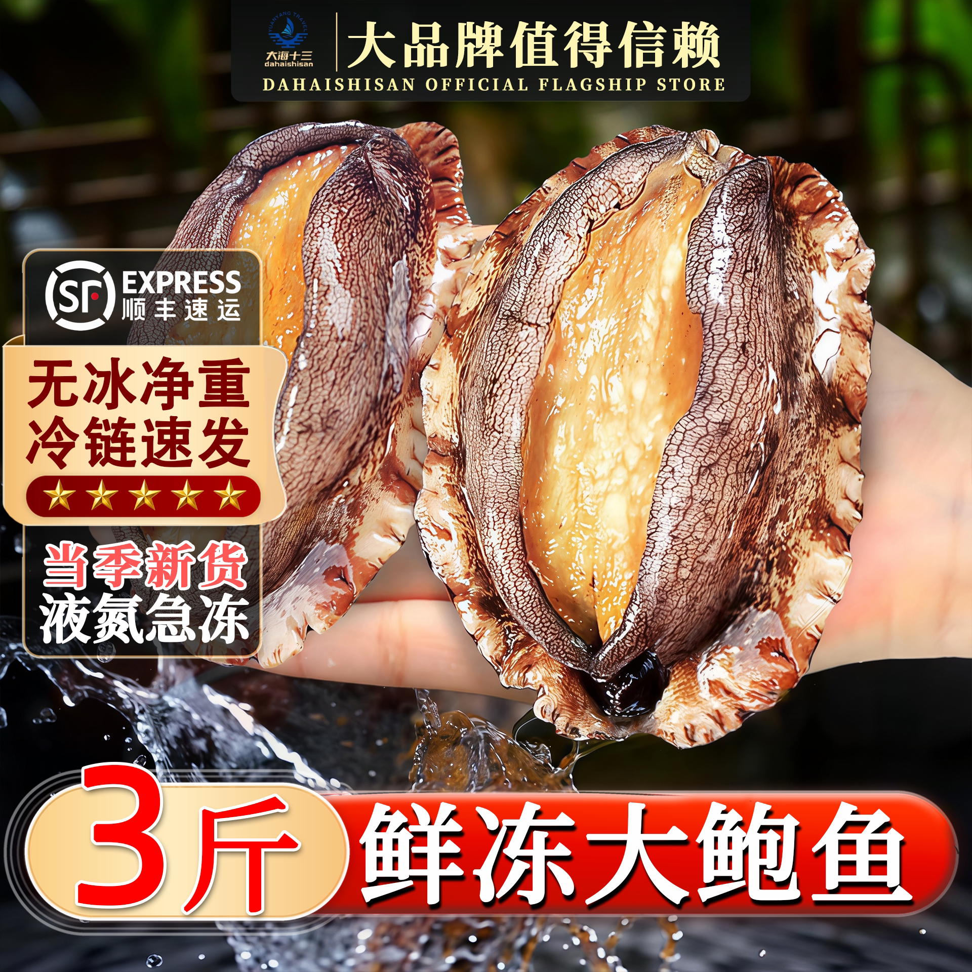 鲍鱼鲜活冷冻火锅食材批发小鲍鱼
