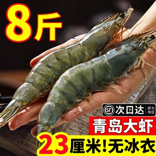 大虾鲜活冷冻基围虾特大号青虾对虾白虾新鲜冷冻海鲜无冰速冻2030