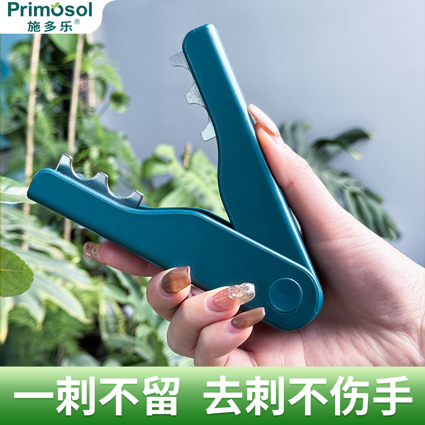 打刺钳一刺不留去刺不伤手