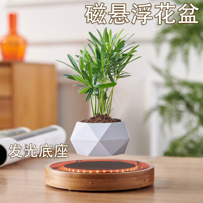 磁悬浮盆栽创意摆件女朋友礼物