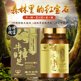 康本自然牛樟芝胶囊台湾椴木子实体高浓缩60粒纯牛樟芝高三萜