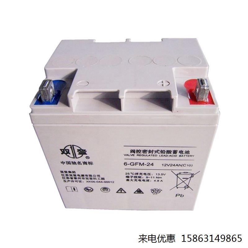 双登蓄电池6-GFM-100 12V24AH直流 摩托车/装备/配件 船舶储能电池 原图主图