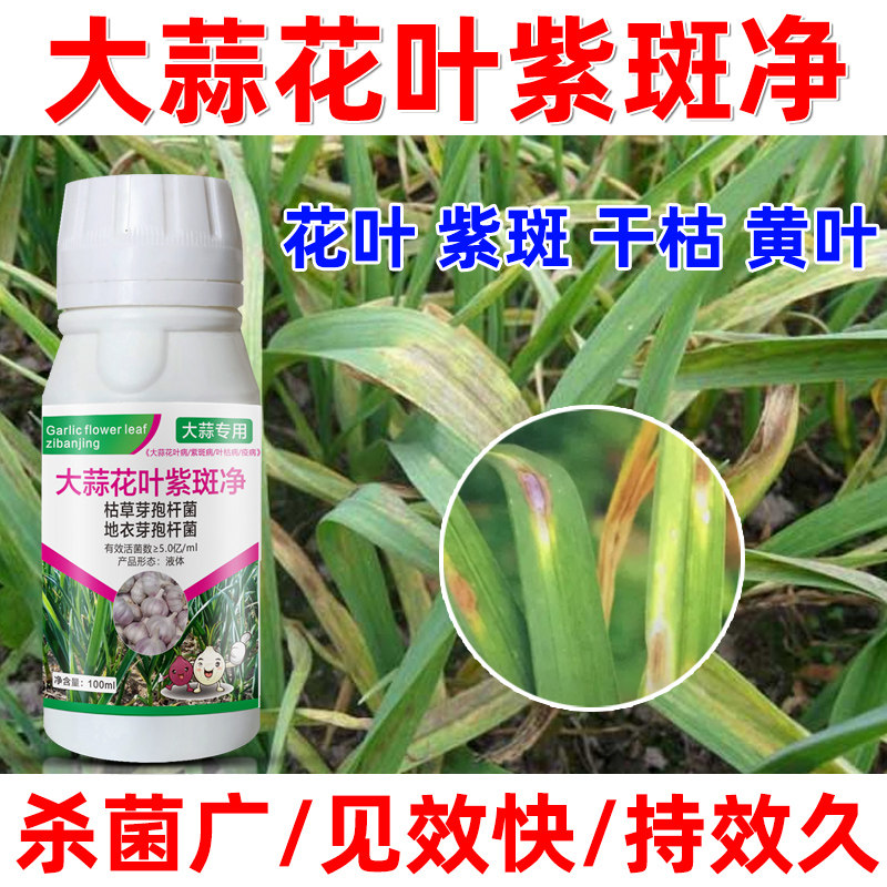 大蒜黄叶病专用药蒜苗黄叶干尖枯叶烂根烂叶斑点锈病葱蒜韭专用肥