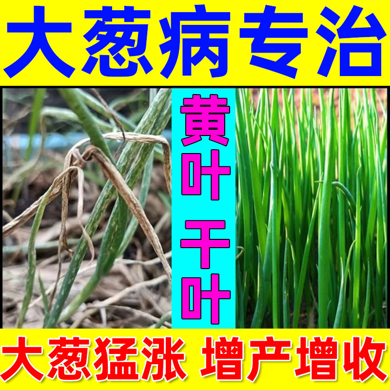 大葱专用药大葱杀菌剂大葱干尖黄尖紫斑病黑斑大葱专用药大葱病害