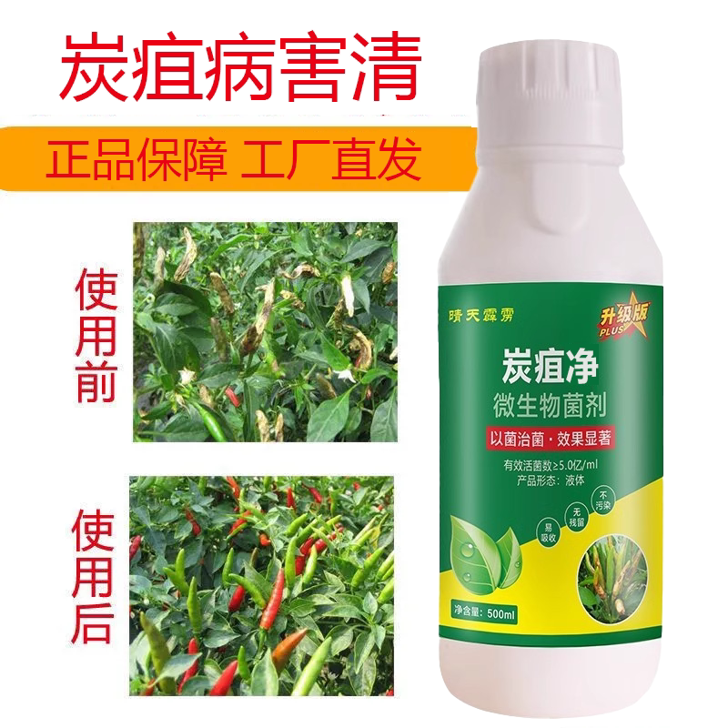 炭疽病果树炭疽病杀菌药柑橘火龙果茄子西红柿辣椒黄瓜葡萄炭疽清