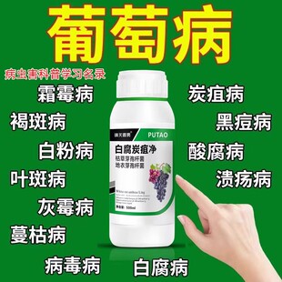 葡萄专用药葡萄药病杀菌剂霜霉病白腐病灰霉病黑痘烂穗炭疽杀菌药