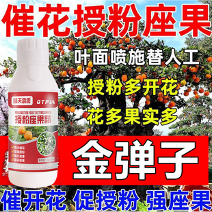 金弹子授粉座果精坐果授粉催花催果药防落果防裂果树挂果授粉剂