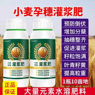 小麦农用叶面肥返青孕穗灌浆肥膨大抗倒伏促早熟小麦水溶肥料