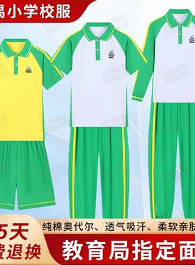 番禺区小学校服纯棉短袖t恤绿色短裤番禺教育统一夏长裤长袖套装