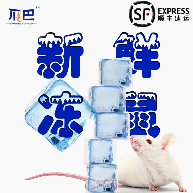 宠物蛇饲料饲料小白鼠顺丰包邮