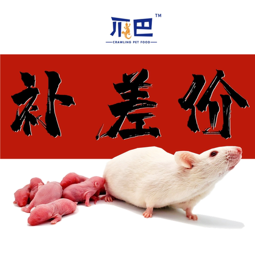 爬牌宠物用品差价专拍