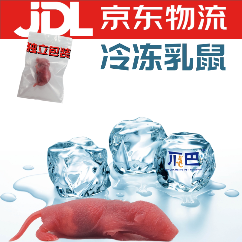 爬宠食物冷冻无菌乳鼠喂蛇