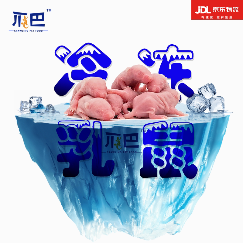京东配送爬宠食物小白乳鼠喂玉米爬虫/鸣虫食物
