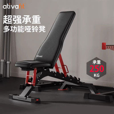 AtivaFit爱体飞可调哑铃凳专业健身房多功能仰卧起坐板器材