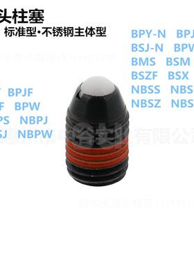 尔球头柱塞标准型NBPS/NBPJ/NBSJ/NBPW-[4-5-6-8-10-12-16]代米思