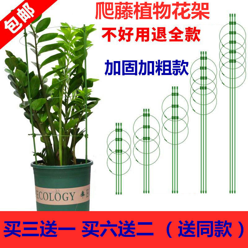 爬藤花架蟹爪室内植物支撑杆绿萝