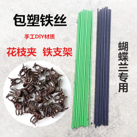 蝴蝶兰花支架兰夹子支撑杆植物