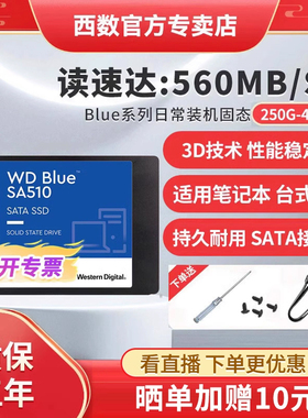 WD西部数据SA510固态硬盘250g/500g/1t/2t/4t笔记本SSD台式机电脑