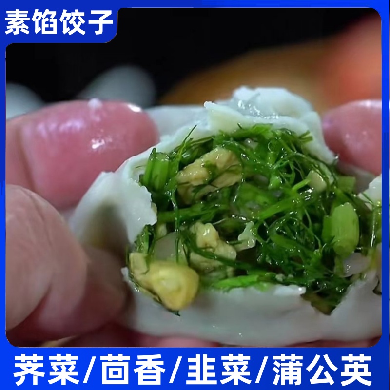 茴香鸡蛋手工水饺荠菜鸡蛋韭菜鸡蛋水饺顺丰包邮冷冻面食饺子
