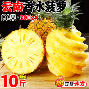 云南香水菠萝10斤新鲜水果当季现摘脆甜带皮手撕凤梨金钻波萝整箱