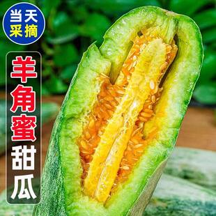 山东羊角蜜甜瓜现摘现发头茬特大小密瓜脆甜多汁时令新鲜水果密瓜