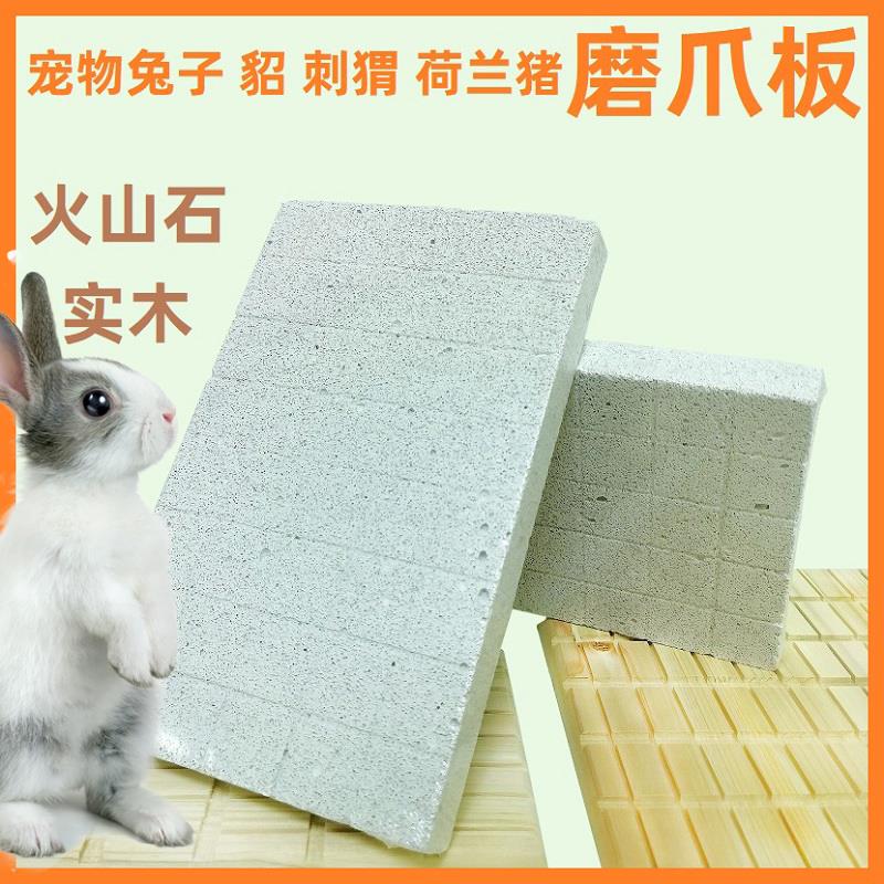 兔子貂龙猫刺猬磨爪脚板