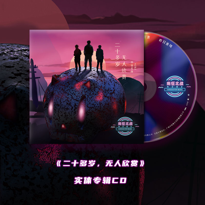 正版唱片 NZBZ 南征北战 全