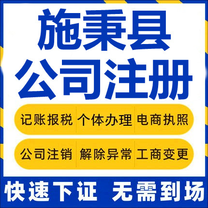 施秉公司注册个体工商营业执照代办公司注销企业变更股权异常代理 - 实物图