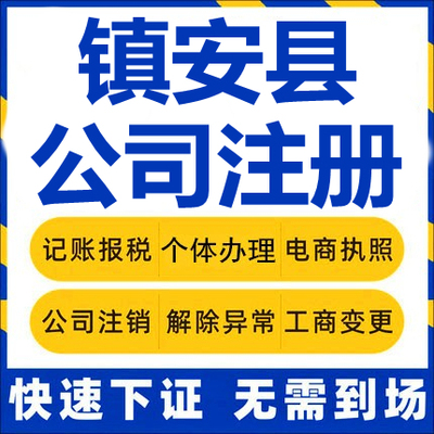 镇安公司注册个体工商营业执照代办公司注销企业变更股权异常