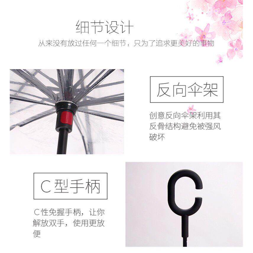 c型双层卡通创意反伞透明儿童伞粉伞男自动伞女男孩