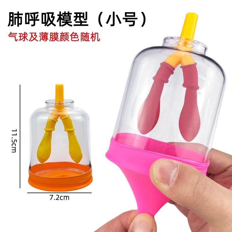 膈肌运动模拟器教具肺呼吸模型科学实验科技小制作创意发明材料包