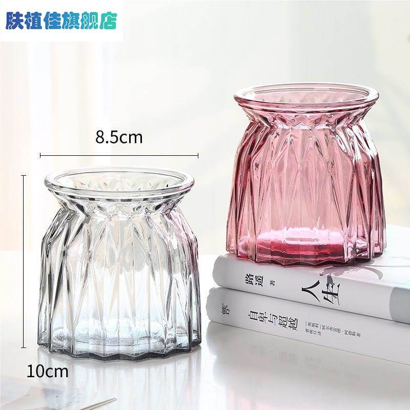 水培瓶植物透明玻璃花瓶容器绿萝花盆养缸水养摆件器皿客厅