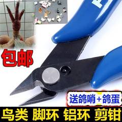 剪足环工具 鹦鹉鸽子脚肿大剪钳子赛鸽脚环剪刀神器 信鸽用品鸽具