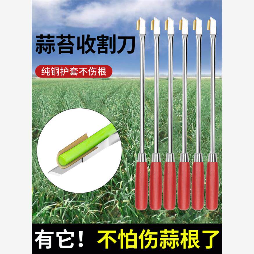 抽蒜苔神器蒜苔收割刀揪滴打提剥蒜薹工具蒜薹收割划蒜苗神器