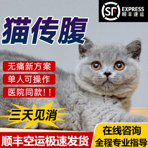 猫传腹消腹水腹膜炎fipv治疗针剂