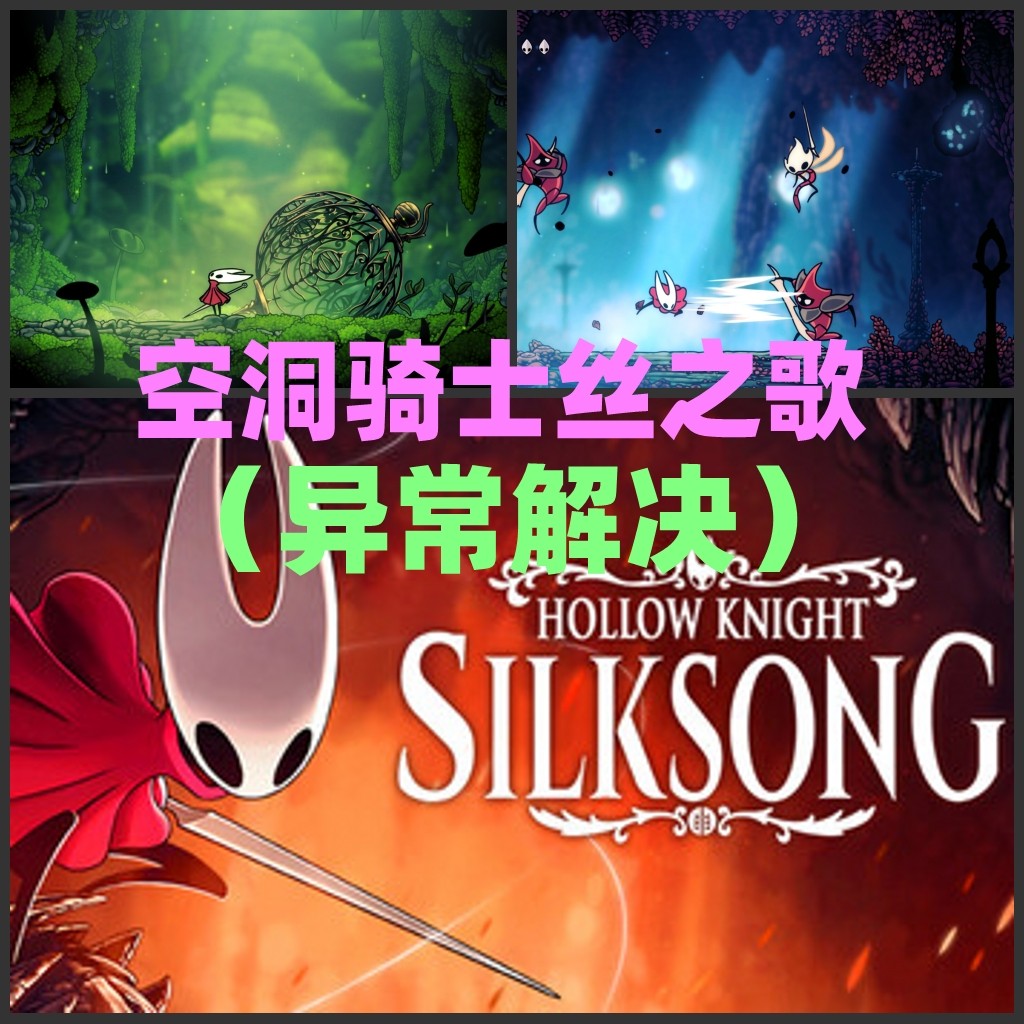 STEAM 空洞骑士丝之歌 运行异常问题解决无法打开报错误 不含游戏