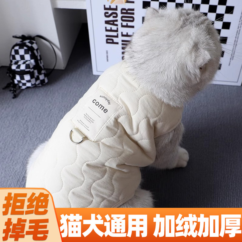 防掉毛新年猫衣服冬季保暖图片