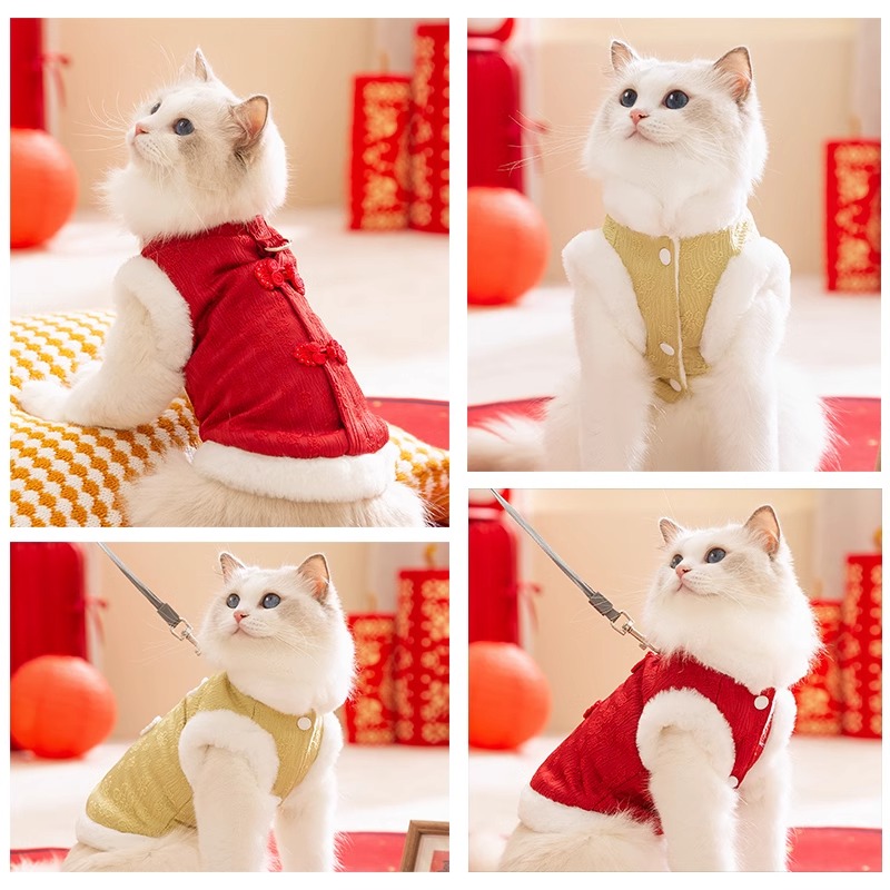 新年猫衣服秋冬季保暖德文无毛猫防掉毛蓝猫矮脚缅因帅气的公猫咪