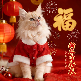 德文猫咪衣服冬装防掉毛保暖布偶缅因阿比西尼亚过年红色喜庆衣服