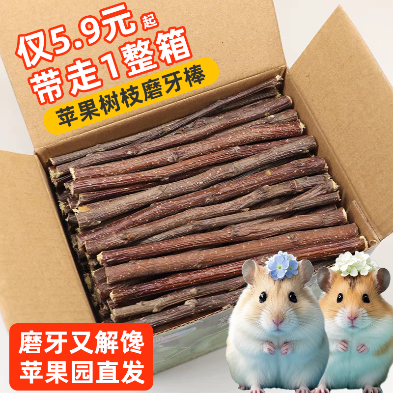 仓鼠磨牙棒神器苹果树枝龙猫豚荷兰猪健齿专用纤维耐咬木解闷玩具