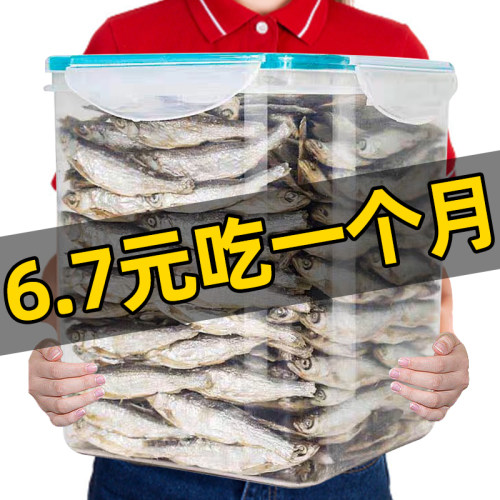 小鱼干猫猫零食宠物无盐增肥发腮