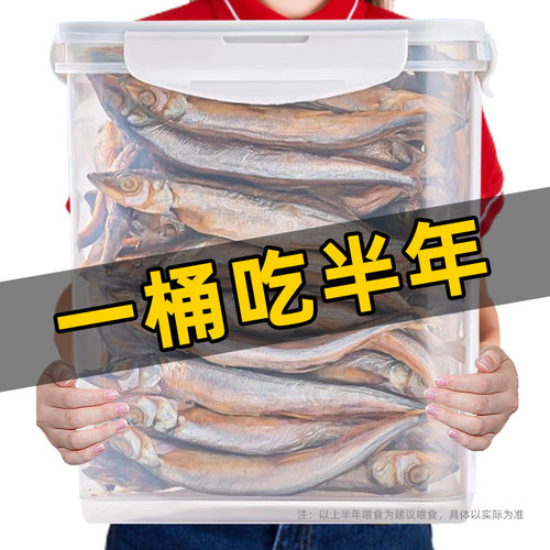 美毛发腮磨牙增肥宠物冻干多春鱼