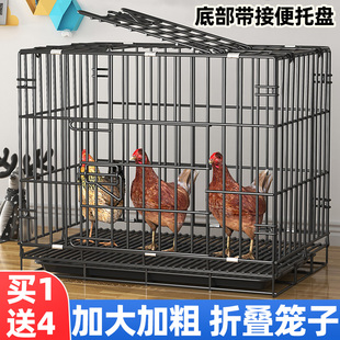 养鸡笼子芦丁走地鸡饲养箱家养小鸡鸭子专用大号超特大柯尔鸭养殖