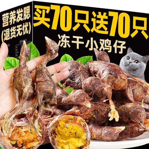 猫咪零食冻干小鸡仔增肥发腮