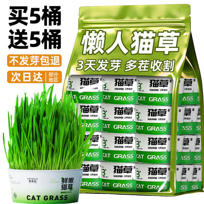 懒人猫草3天发芽7天成苗
