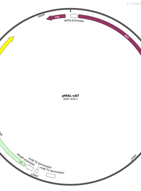 pMAL-c6T载体，pMAL-c6T质粒