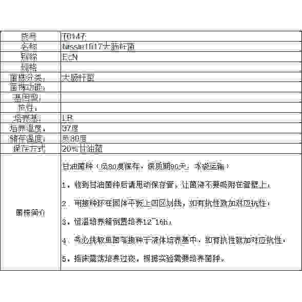 Nissle1917菌株 EcN1917 益生大肠杆菌 E.coli Nissle 1917