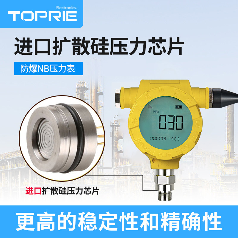 拓普瑞TP2401智能无线压力表防水防爆液位压力温度水质监测